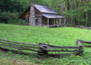 Pet Friendly Cabins in Gatlinburg TN and Pigeon Forge TN